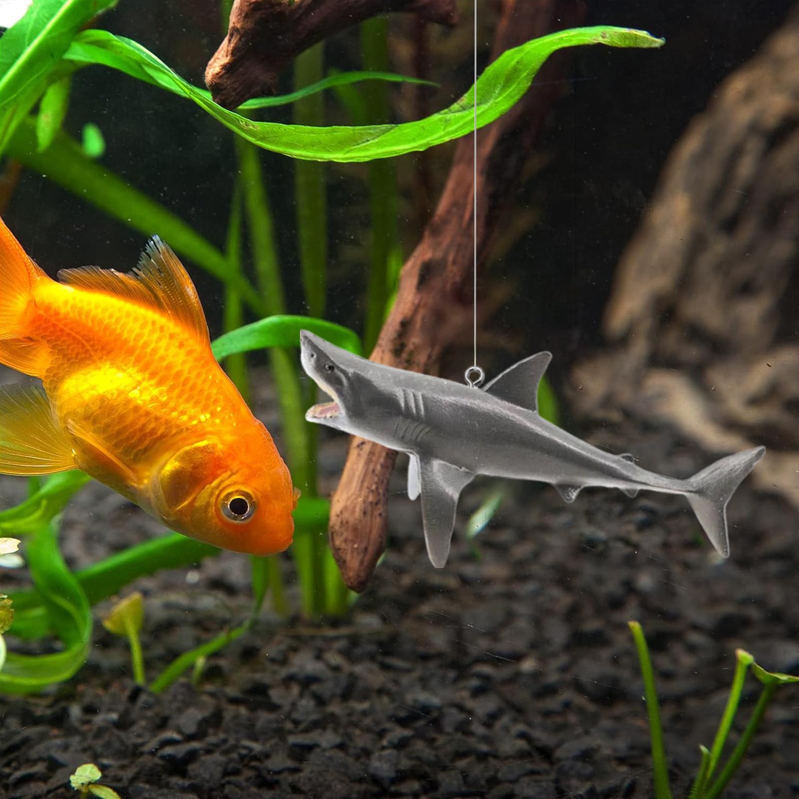 Floating Shark Aquarium Landsc – Aquarium Fish Escape recenzja i cena