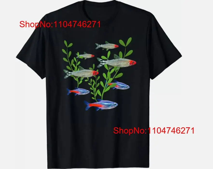 Tetras Aquarium Neon Rummy Nos – Tetra Fish In Aquarium recenzja i cena