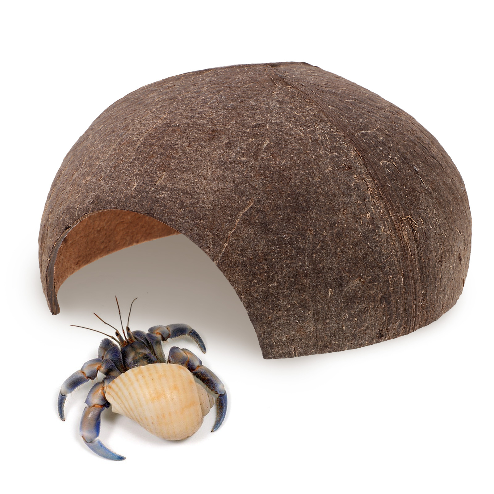 Coconut Shell Hideout Reptile  – Aquarium Fish Hide recenzja i cena