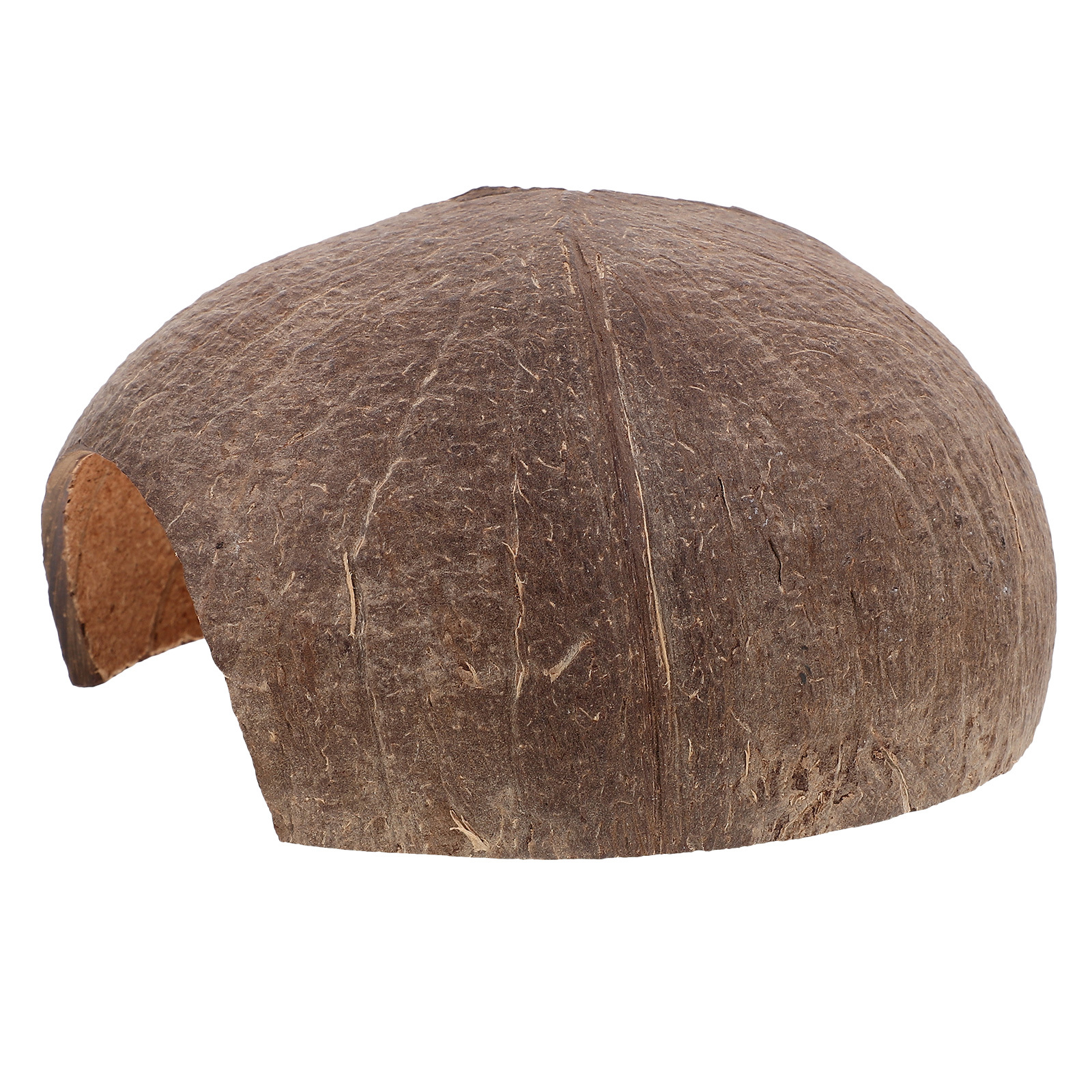 Coconut Shell Hideout Reptile  – Aquarium Fish Hide recenzja i cena