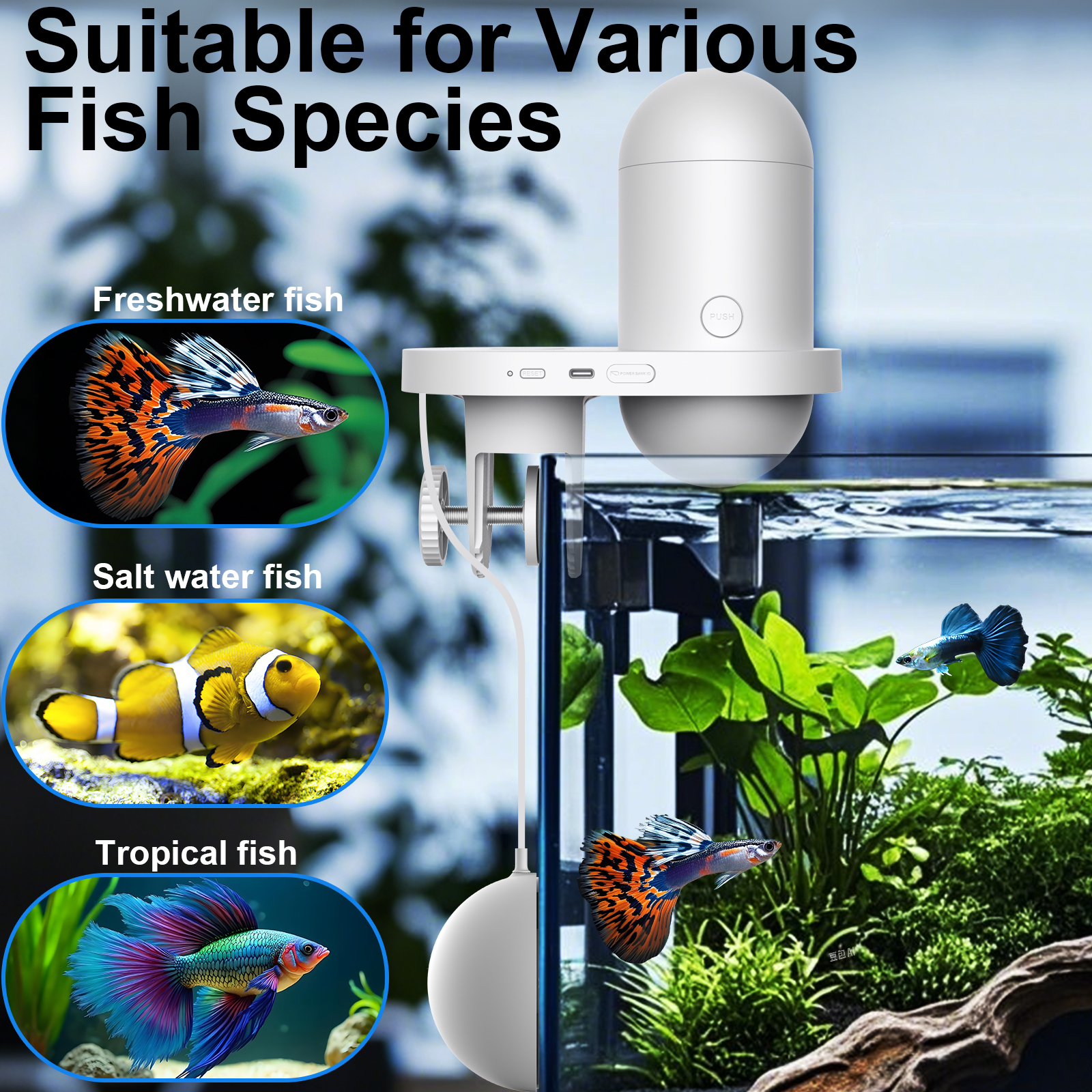 Automatic Fish Feeder With Cam – Aquarium Fish Feeder Automatic recenzja i cena