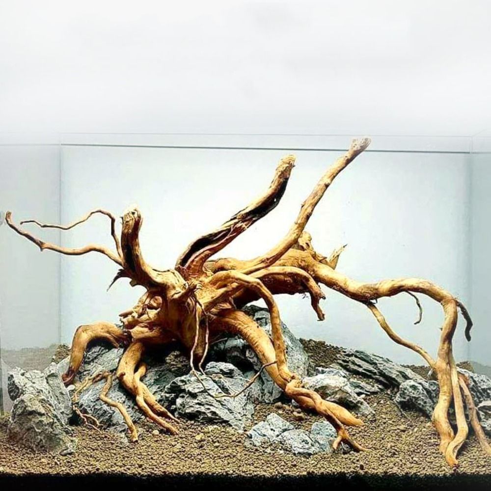 20-25CM Large Aquarium Driftwo – Aquarium Fish Jar recenzja i cena