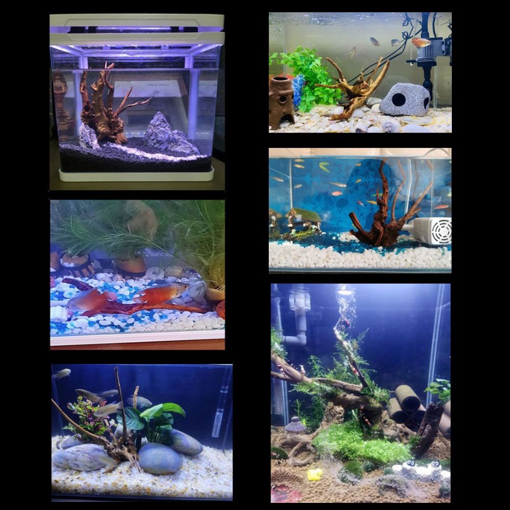 20-25CM Large Aquarium Driftwo – Aquarium Fish Jar recenzja i cena