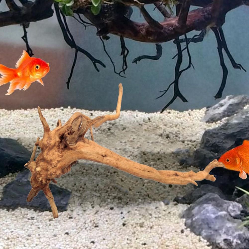 20-25CM Large Aquarium Driftwo – Aquarium Fish Jar recenzja i cena