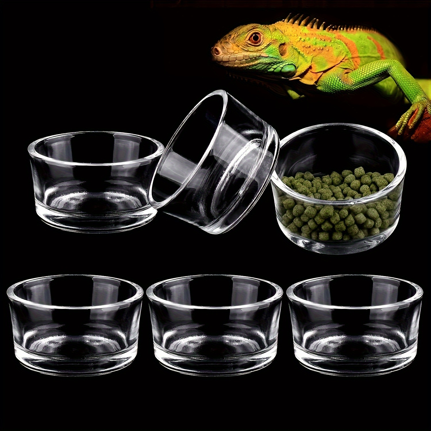 Glass Aquarium Mini Size Shrim – Aquarium Fish Jar recenzja i cena