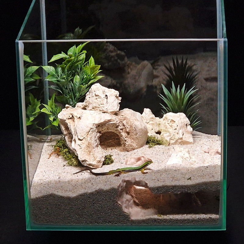 3DPrinted Fish Tank Tunnel She – Aquarium Fish Hide recenzja i cena