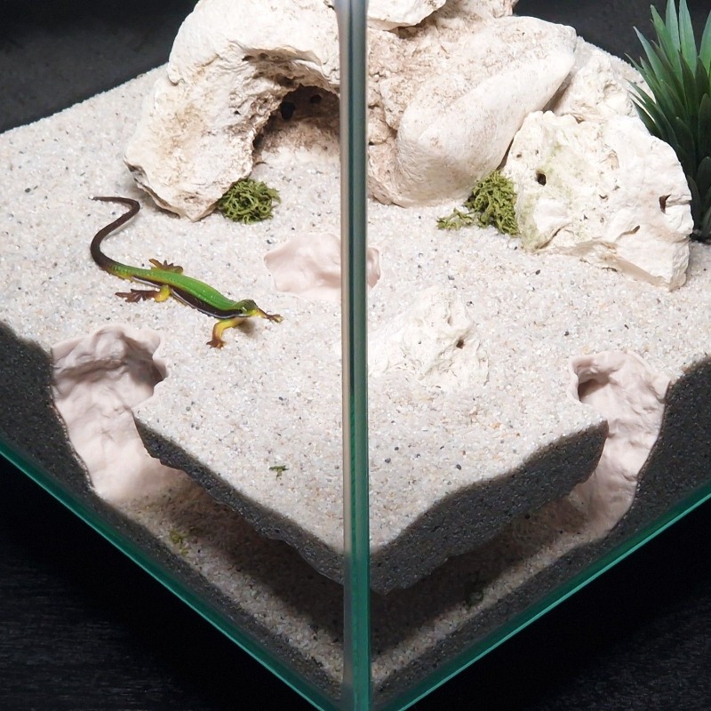3DPrinted Fish Tank Tunnel She – Aquarium Fish Hide recenzja i cena