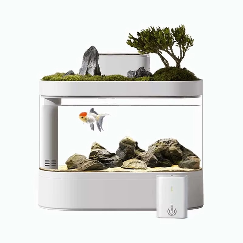 Desktop Smart Aquarium Fish Ta – Aquarium Fish Feeder Automatic recenzja i cena