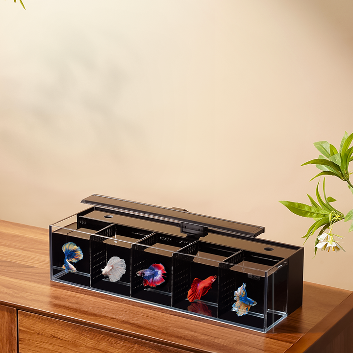 Modular Self-Cleaning Glass Fi – Aquarium Fish Zone recenzja i cena