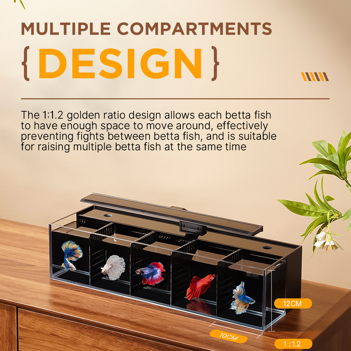 Modular Self-Cleaning Glass Fi – Aquarium Fish Zone recenzja i cena