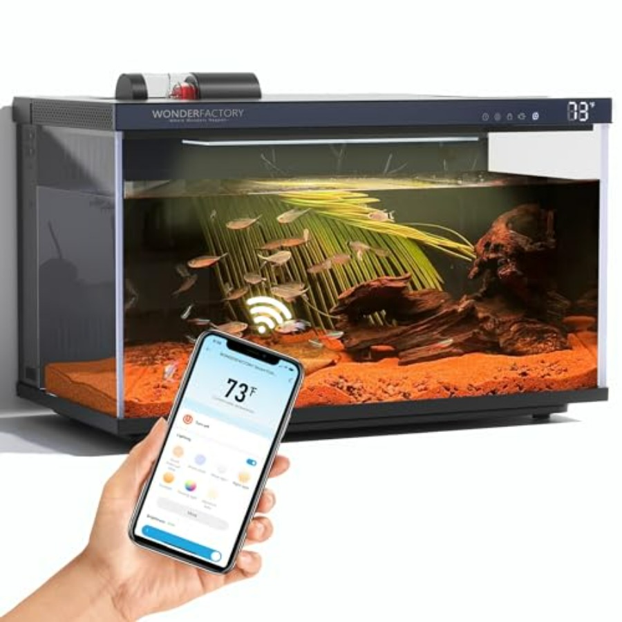Smart Aquarium 5 Gallon Glass  – Aquarium Fish Feeder Automatic recenzja i cena