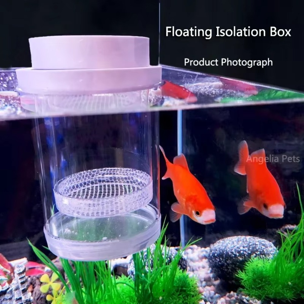 Plastic Floating Fish Breeding – Aquarium Fish Jar recenzja i cena