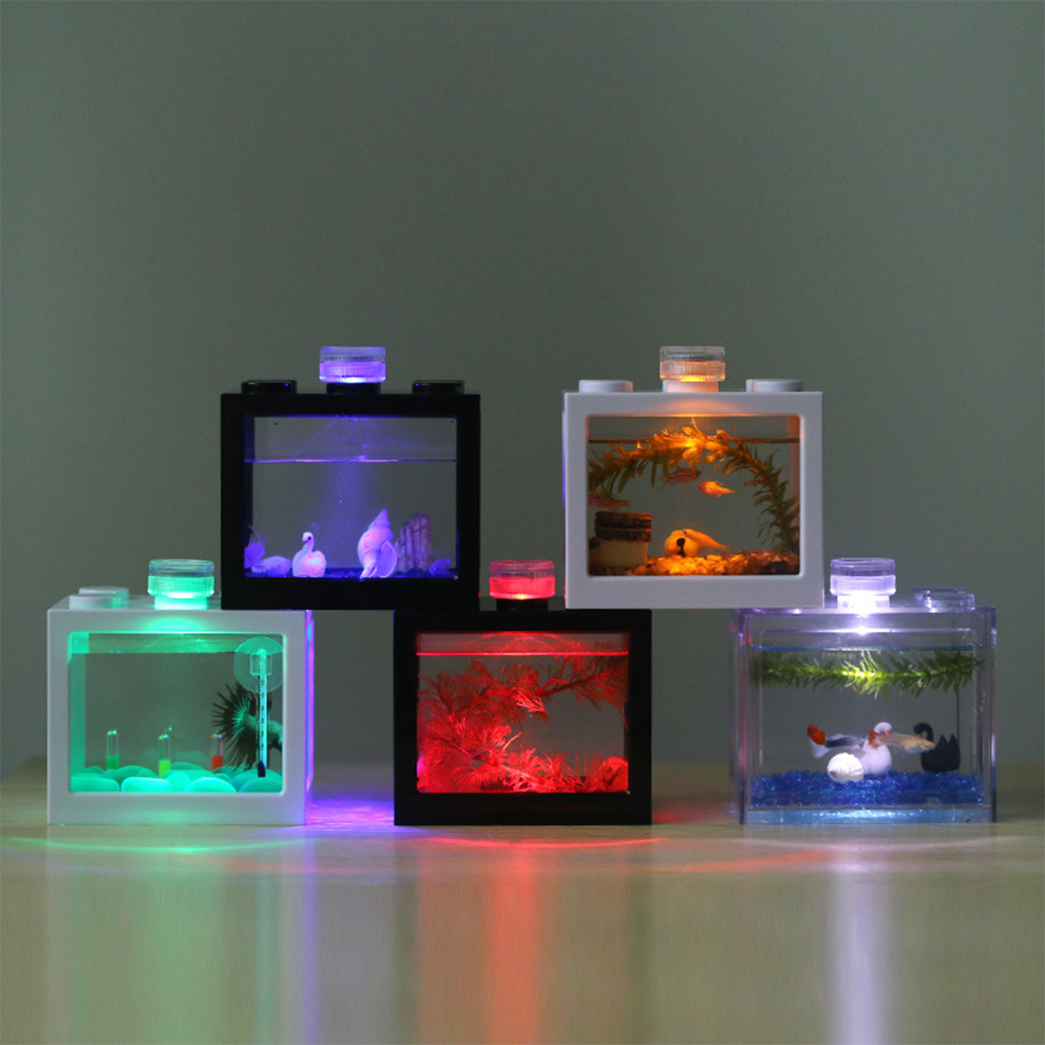 Plastic Betta Fish Tank  Aquar – Aquarium Fish Jar recenzja i cena