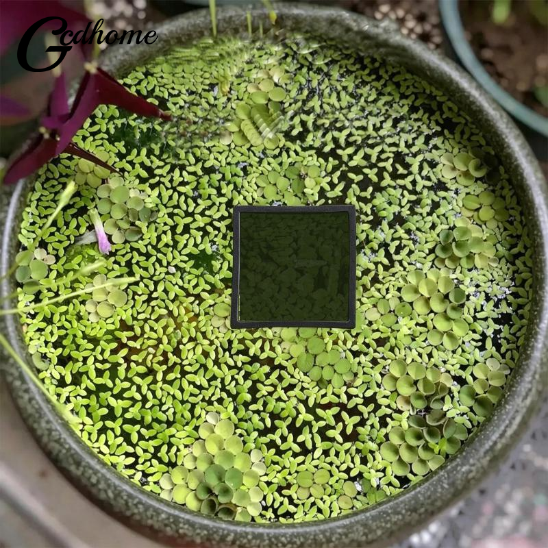 Aquarium Floating Plant Rings  – Aquarium Fish Zone recenzja i cena