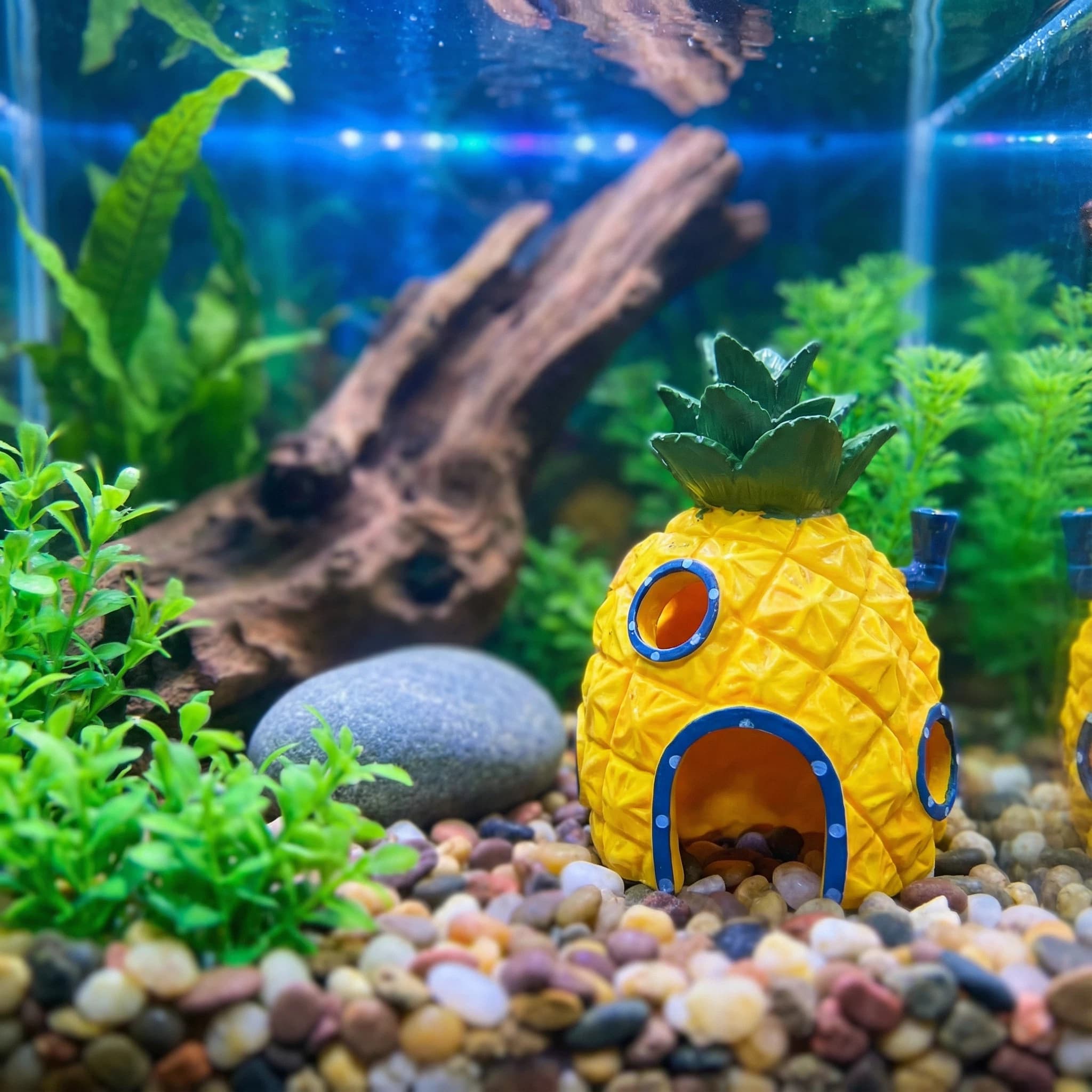 Pineapple House Aquarium Decor – Aquarium Fish Hide recenzja i cena