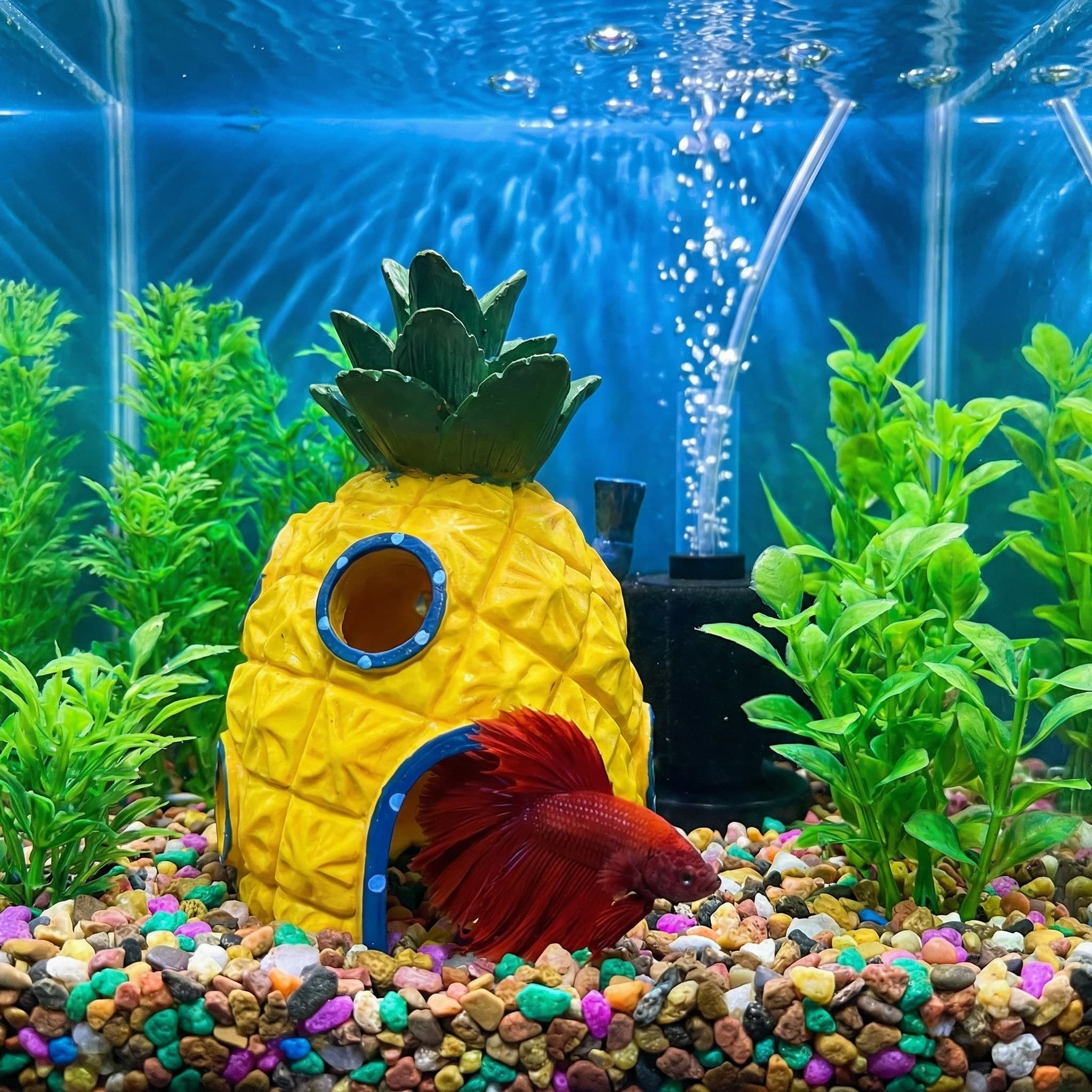 Pineapple House Aquarium Decor – Aquarium Fish Hide recenzja i cena