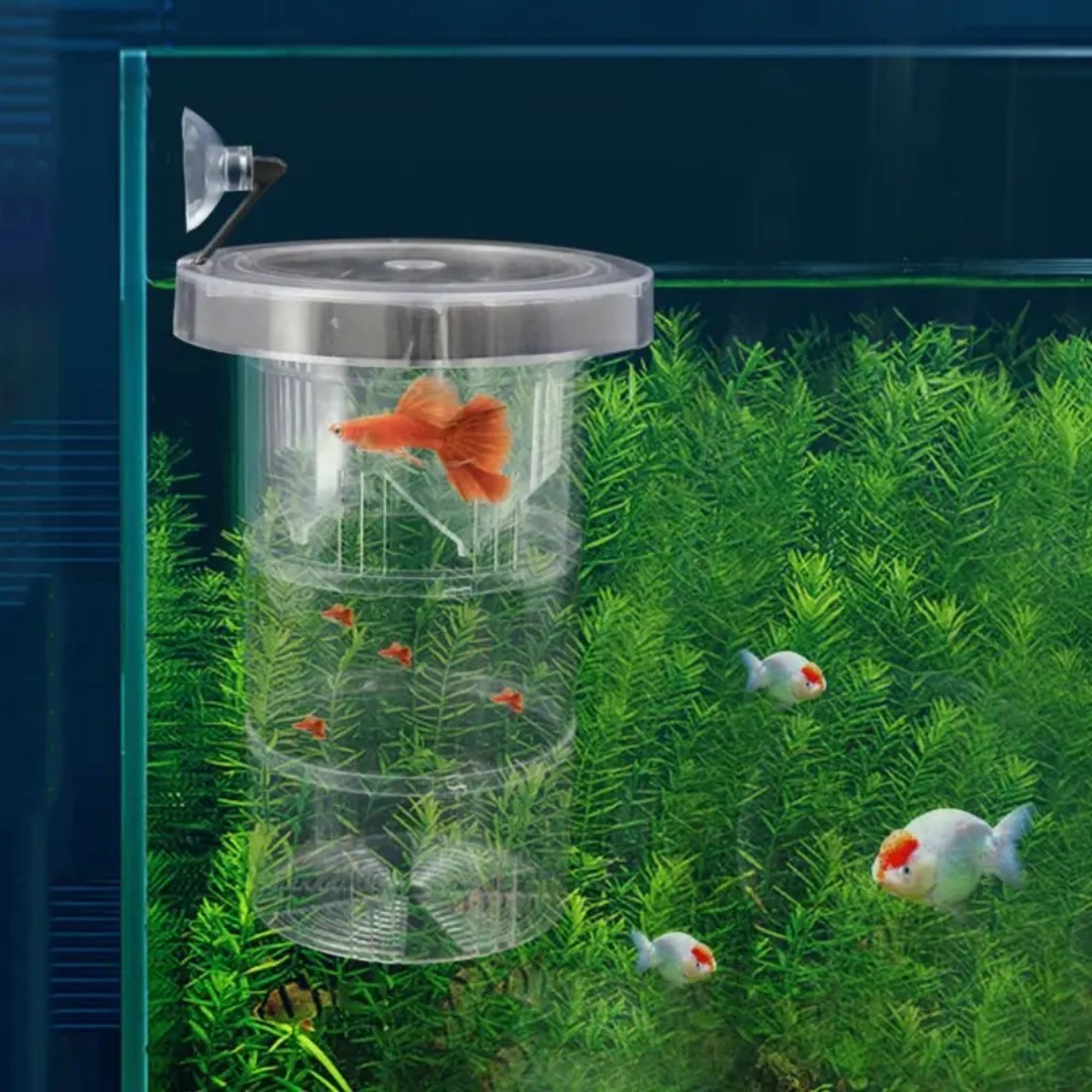 Acrylic Floating Fish Breeding – Aquarium Fish Escape recenzja i cena