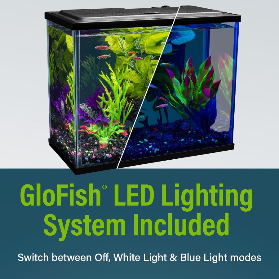 6.6 Gallon Fish Tank Starter K – Tetra Fish In Aquarium recenzja i cena
