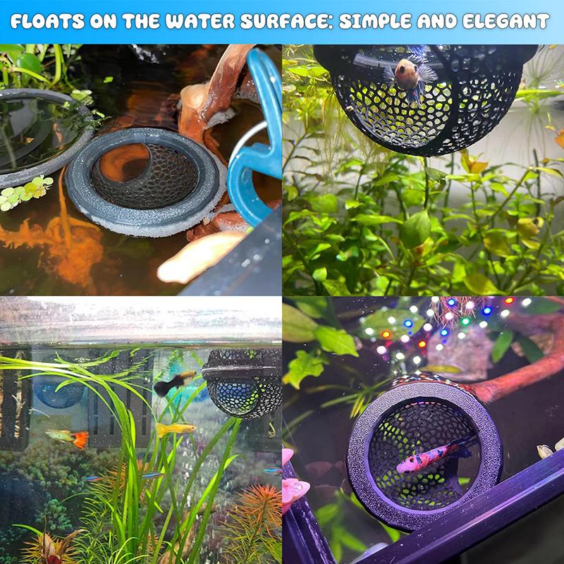 Ring FLoatinG Betta Hide Shrim – Aquarium Fish Hide recenzja i cena
