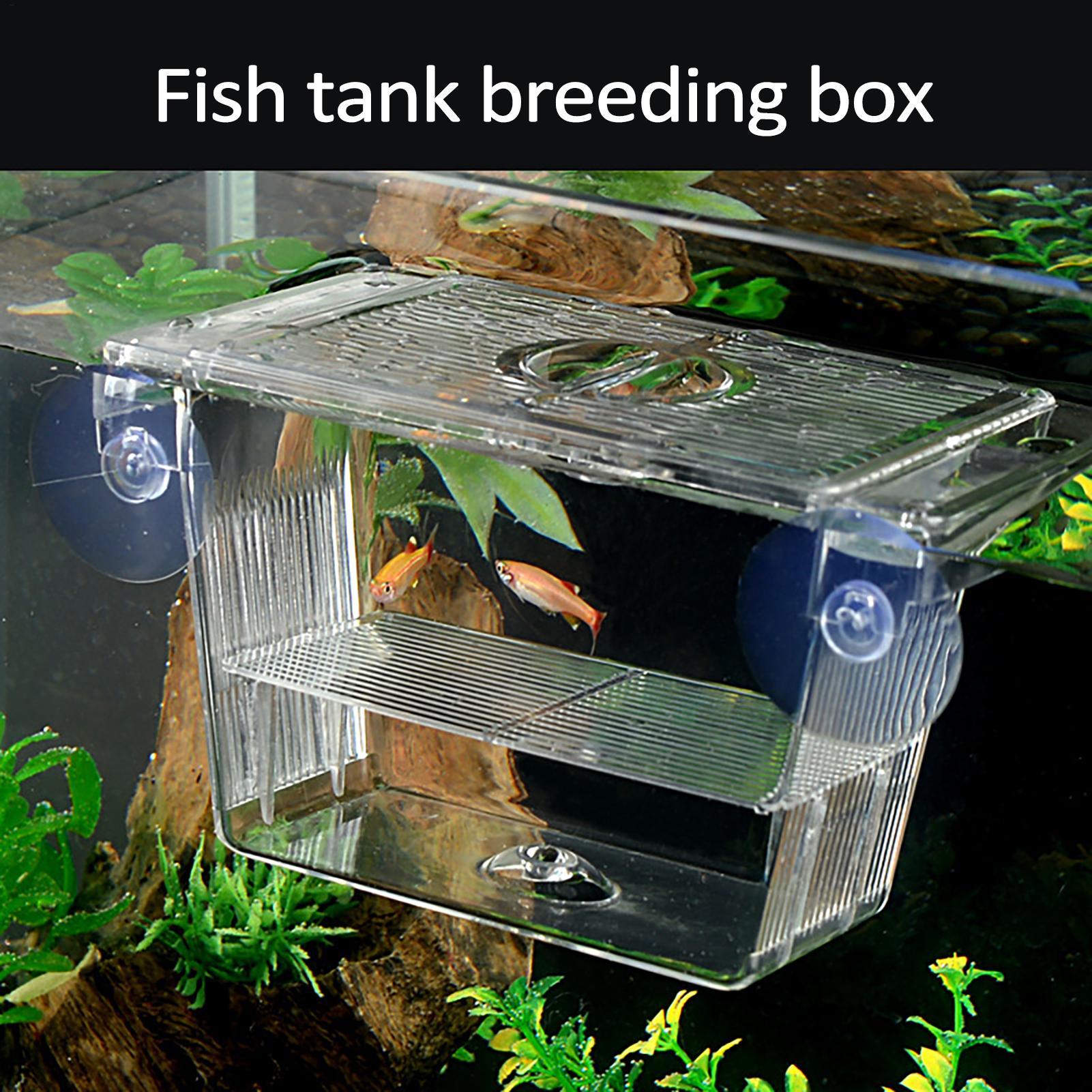 Breeder Box for Fish Tank Tran – Aquarium Fish Jar recenzja i cena