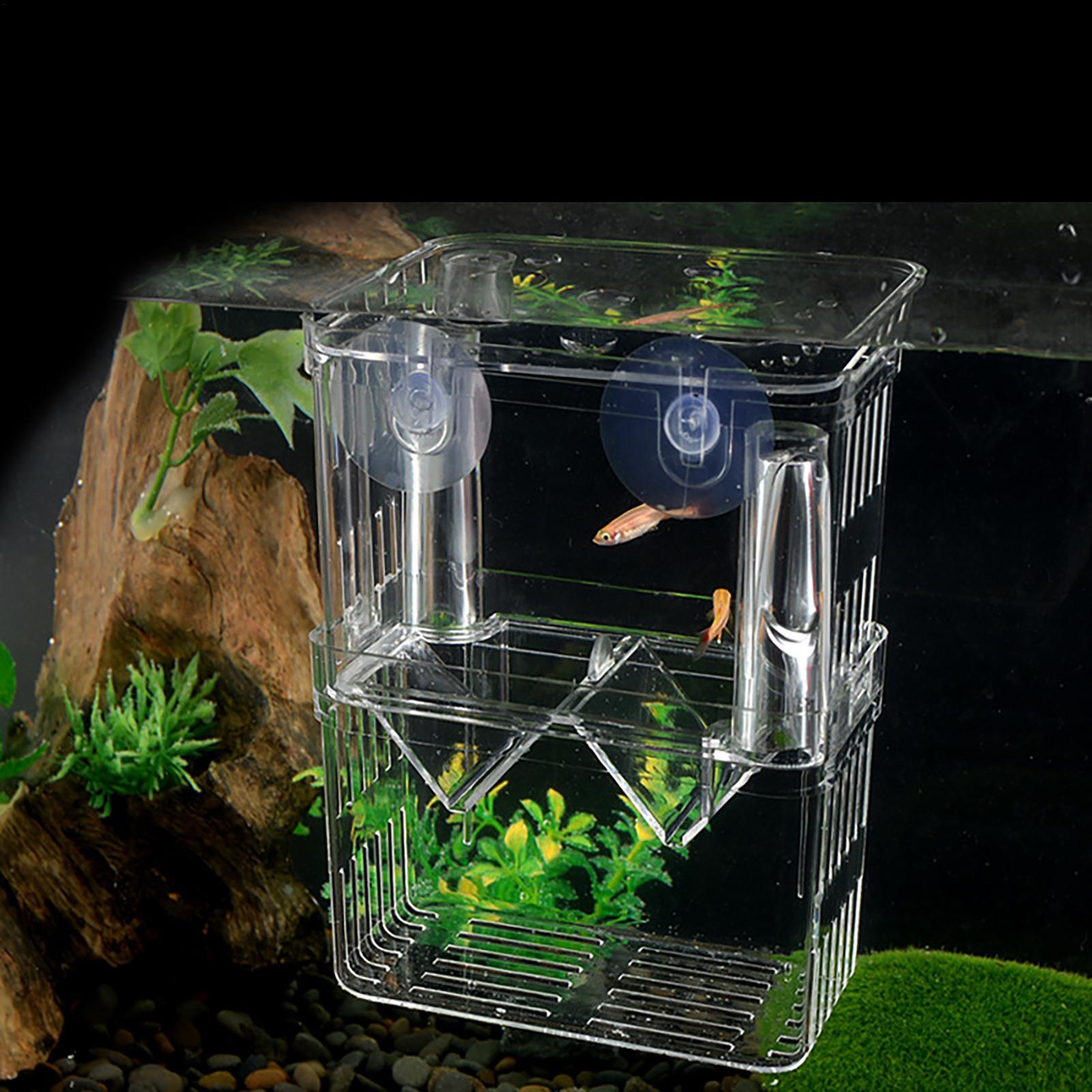 Breeder Box for Fish Tank Tran – Aquarium Fish Jar recenzja i cena