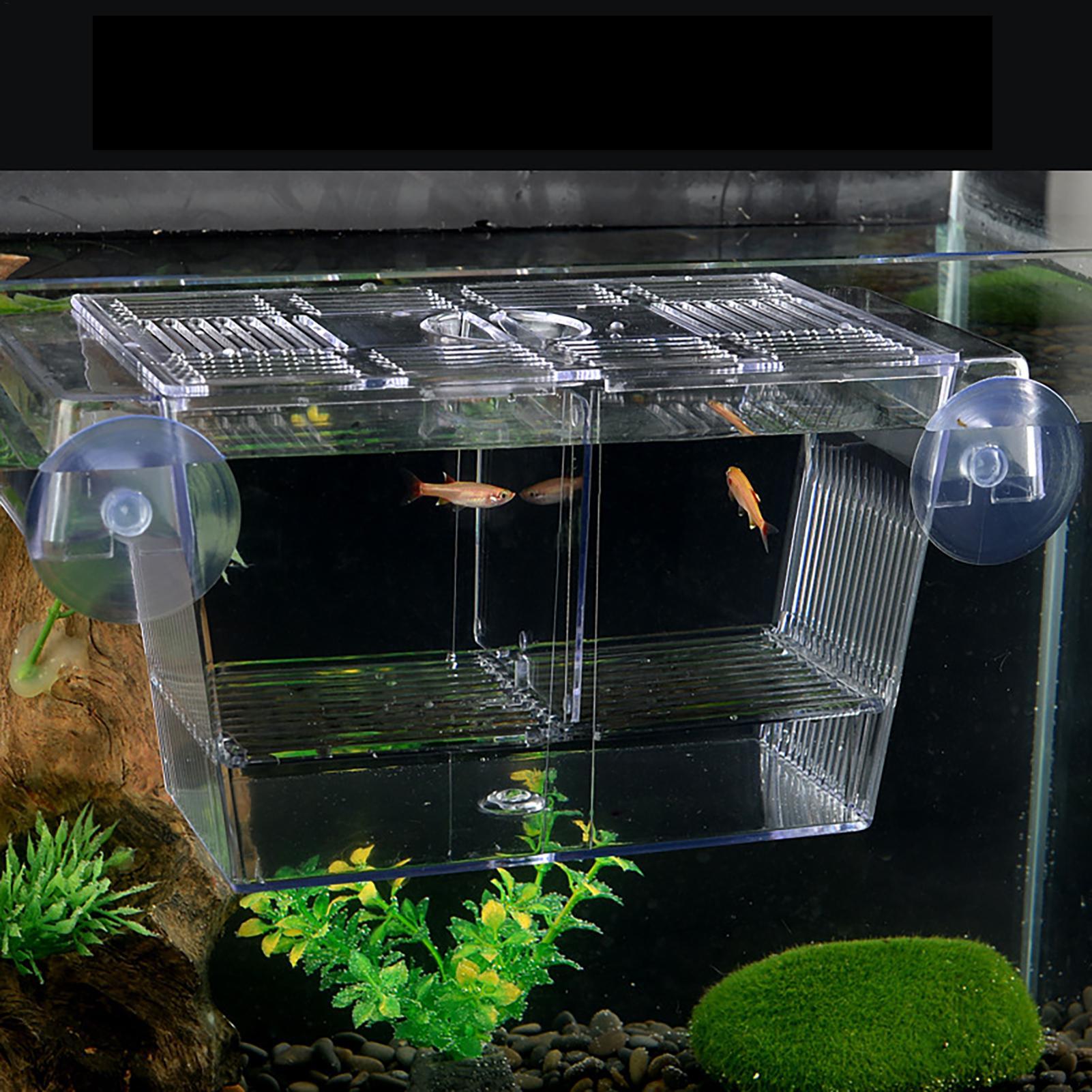 Breeder Box for Fish Tank Tran – Aquarium Fish Jar recenzja i cena