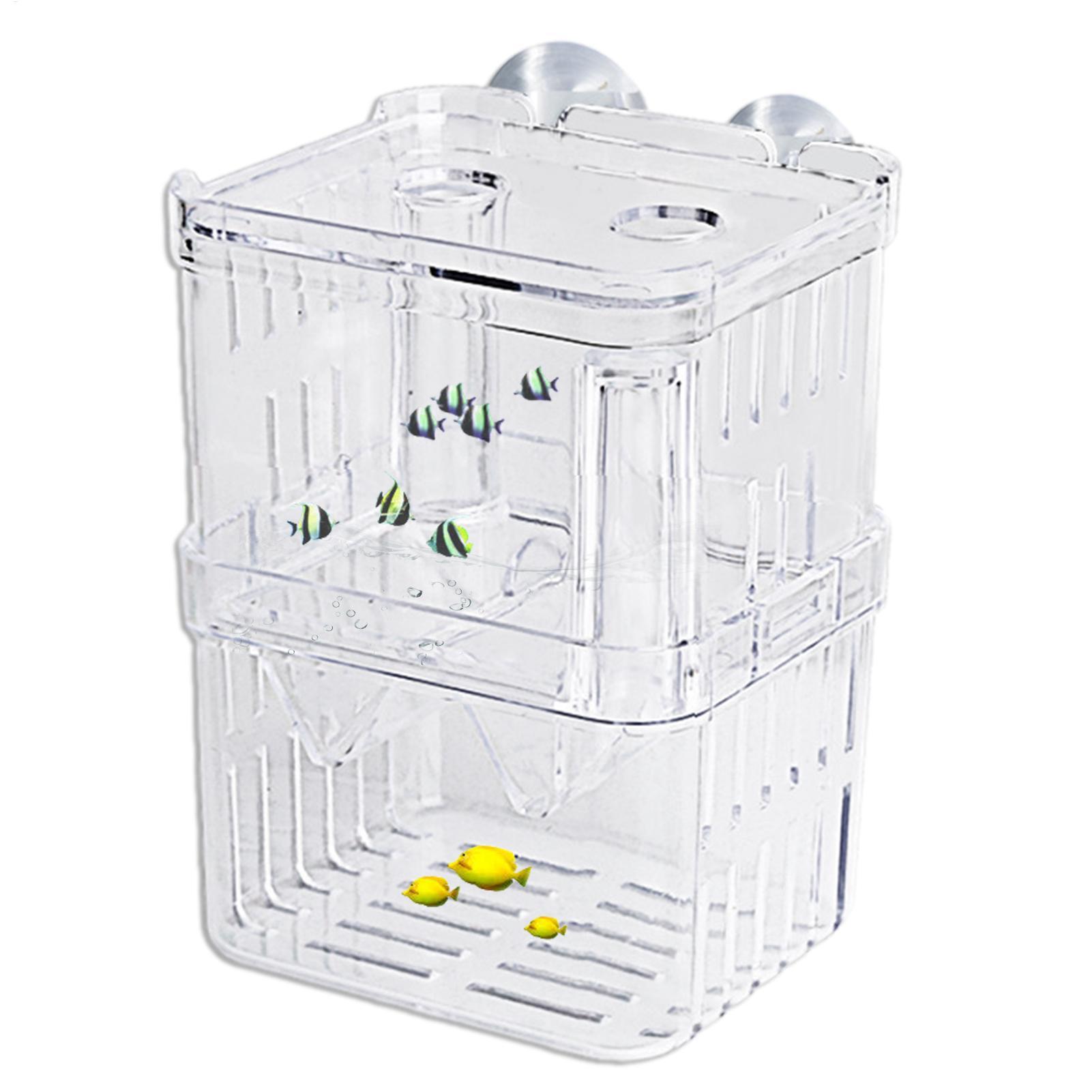 Breeder Box for Fish Tank Tran – Aquarium Fish Jar recenzja i cena