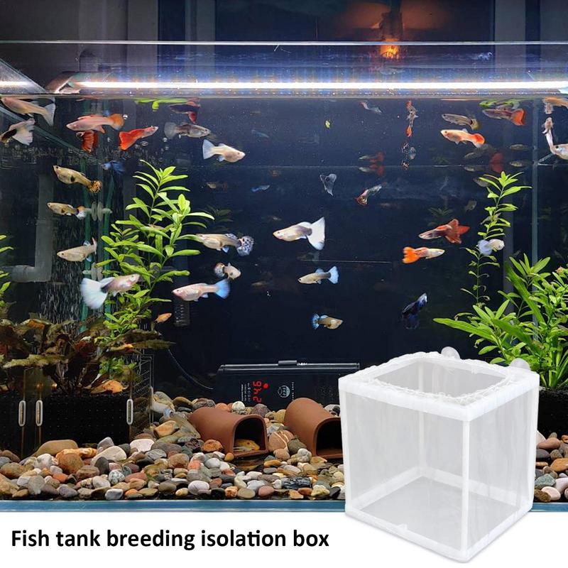 Fish Breeder Box with Suction, – Aquarium Fish Jar recenzja i cena