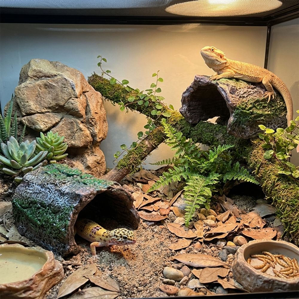 Simulation Reptile Hideout Hol – Aquarium Fish Hide recenzja i cena