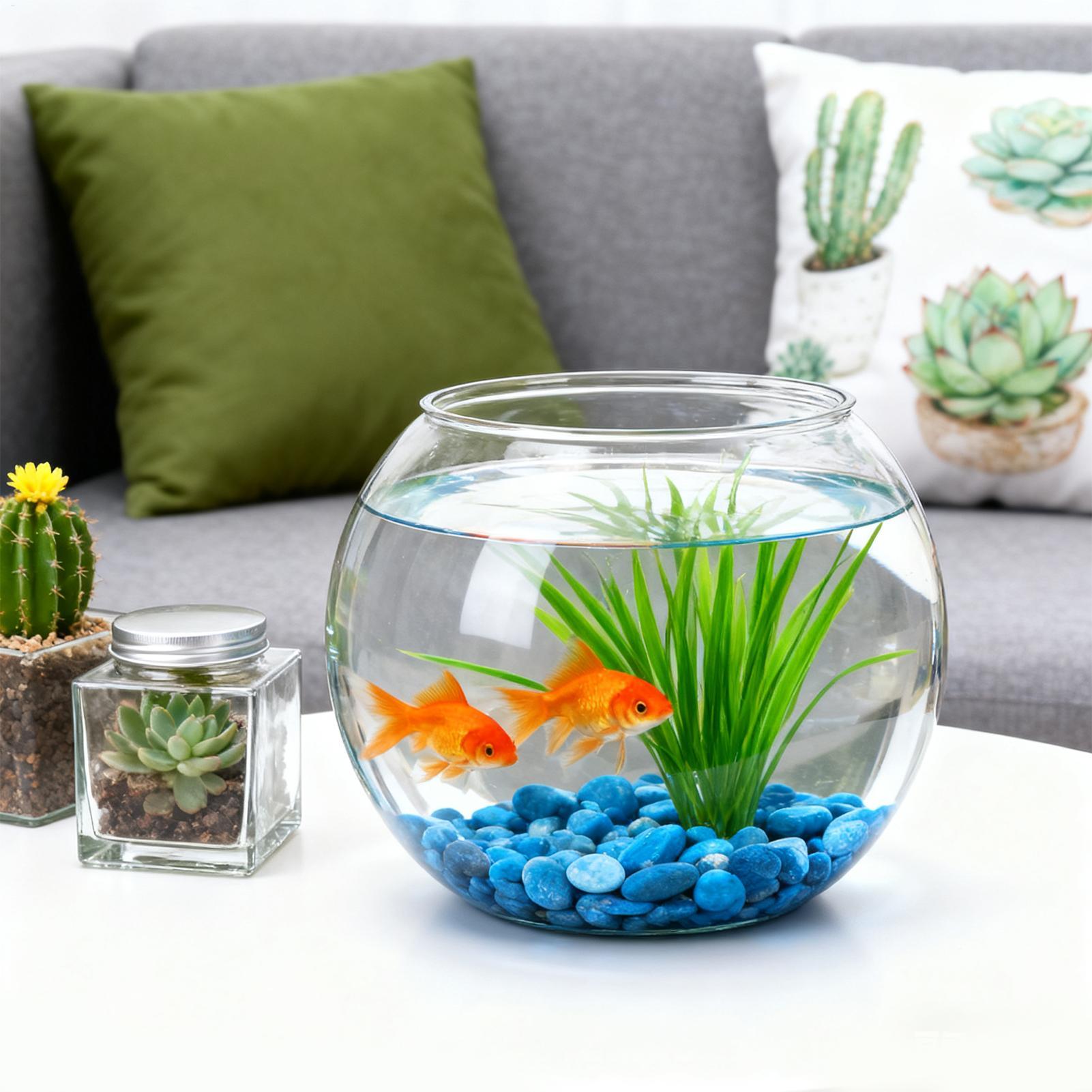Bubble Bowl Space-Saving Aquar – Aquarium Fish Jar recenzja i cena