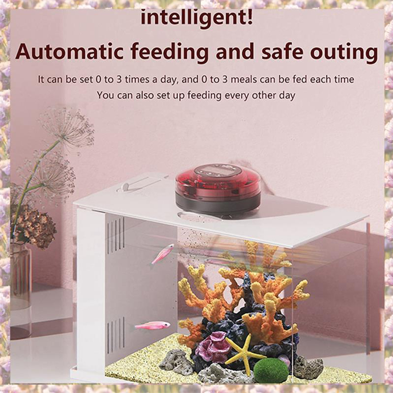 New Automatic Meal Fish Feeder – Aquarium Fish Feeder Automatic recenzja i cena