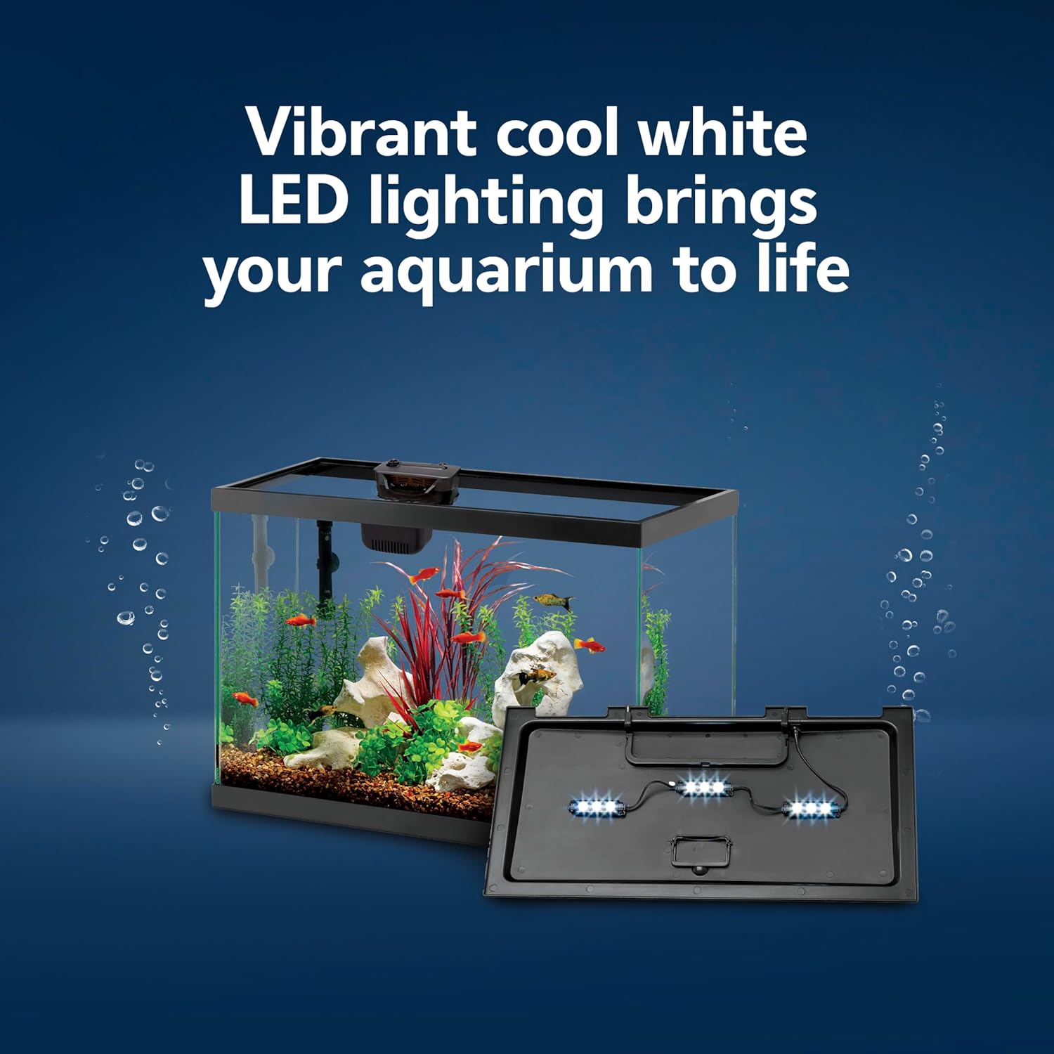 Aquarium Starter Kit with Smar – Tetra Fish In Aquarium recenzja i cena