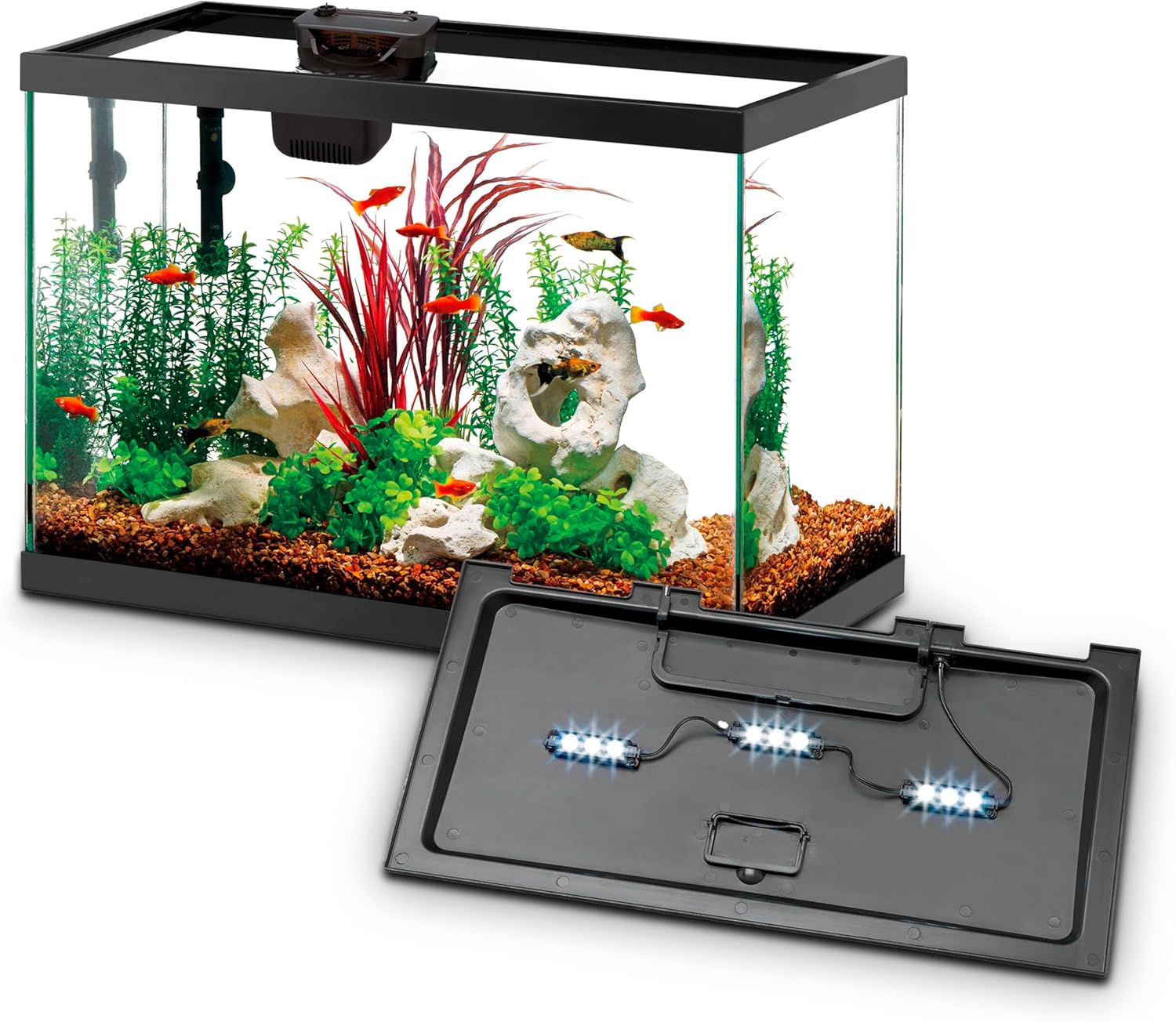 Aquarium Starter Kit with Smar – Tetra Fish In Aquarium recenzja i cena