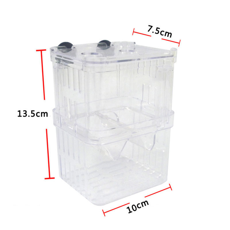 Peacock Fish Breeding Isolatio – Aquarium Fish Jar recenzja i cena