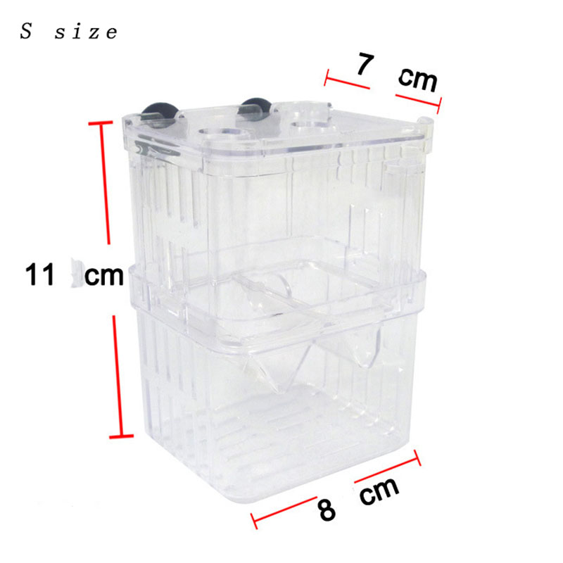 Peacock Fish Breeding Isolatio – Aquarium Fish Jar recenzja i cena