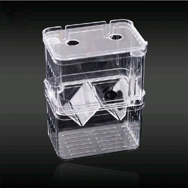Peacock Fish Breeding Isolatio – Aquarium Fish Jar recenzja i cena